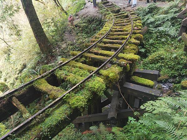 見晴(濕冷步道 (1).jpg