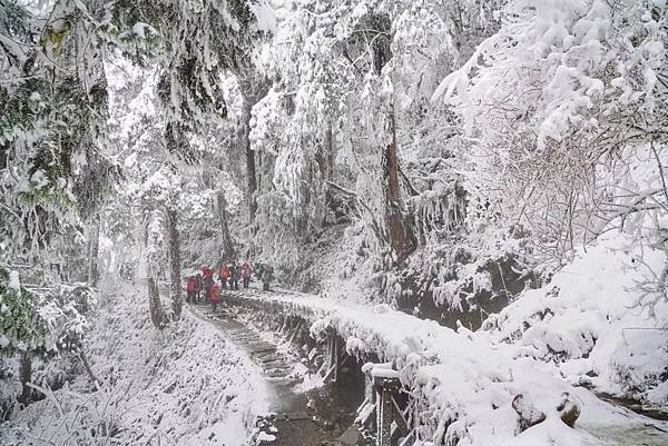 太平山雪景 (2).jpg