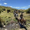 Backcountry Saddle Expeditions (HIDDEN VALLEY.jpg