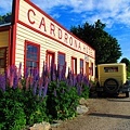 CADRONA HOTEL (SPRING LUPIN FLOWER.jpg