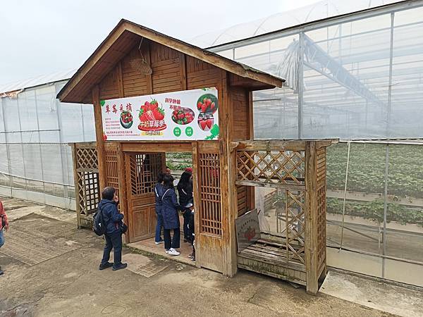 羊昌花畫小鎮 (草莓園) (3).jpg