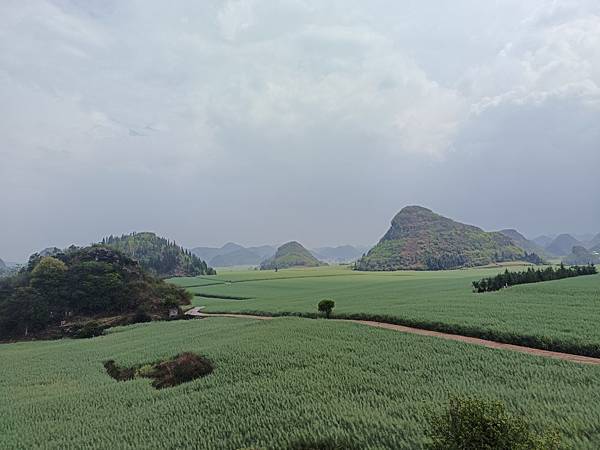 金雞峰叢 (7).jpg