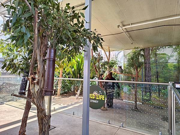 24OCT 十里藍山蟬滿天 百年飯店巡禮(Metropole 24OCT 十里藍山蟬滿天 百年飯店巡禮(Metropole