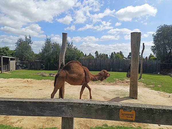 24OCT 十里藍山蟬滿天 百年飯店巡禮(Metropole 24OCT 十里藍山蟬滿天 百年飯店巡禮(Metropole