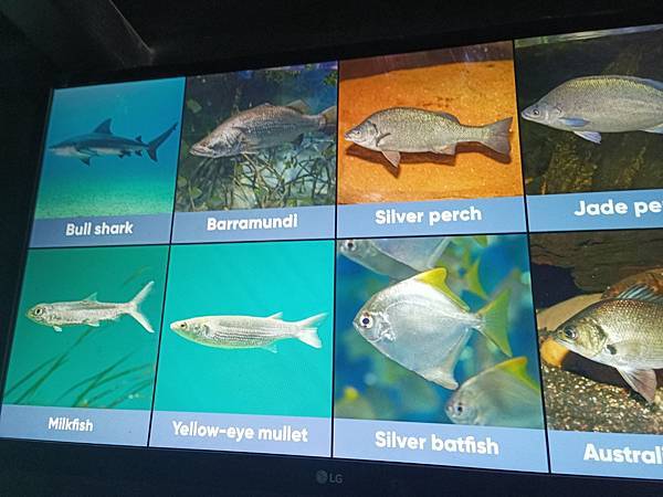 24OCT 十里藍山蟬滿天 百年飯店巡禮(Metropole 24OCT 十里藍山蟬滿天 百年飯店巡禮(Metropole