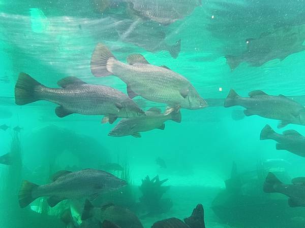 24OCT 十里藍山蟬滿天 百年飯店巡禮(Metropole 24OCT 十里藍山蟬滿天 百年飯店巡禮(Metropole