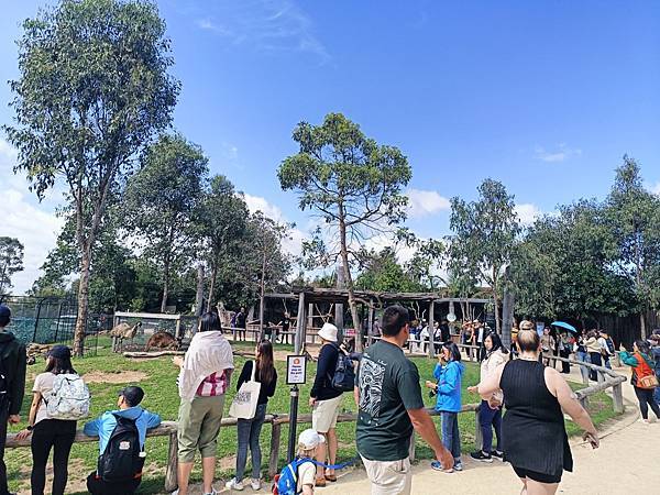 24OCT 十里藍山蟬滿天 百年飯店巡禮(Metropole 24OCT 十里藍山蟬滿天 百年飯店巡禮(Metropole