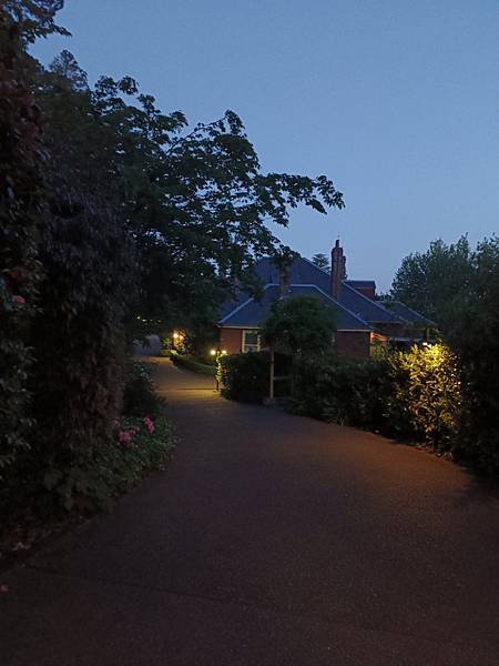 24OCT 十里藍山 蟬滿天 Blue Mountain 百 24OCT 十里藍山 蟬滿天 Blue Mountain 百