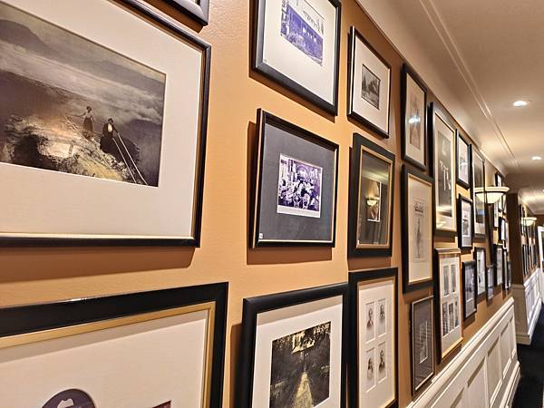 24OCT 十里藍山 蟬滿天 Blue Mountain 百 24OCT 十里藍山 蟬滿天 Blue Mountain 百