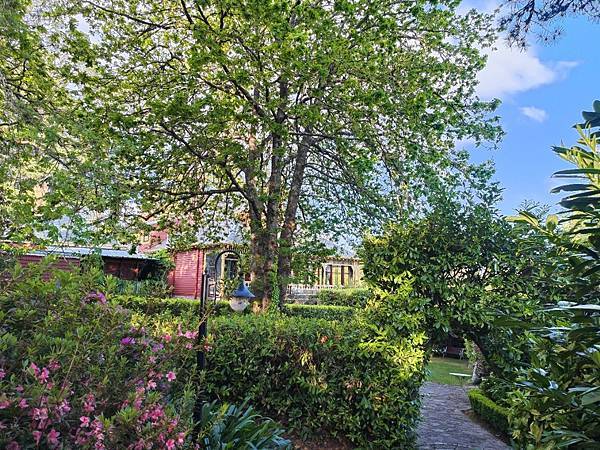 24OCT 十里藍山 蟬滿天 Blue Mountain 百 24OCT 十里藍山 蟬滿天 Blue Mountain 百