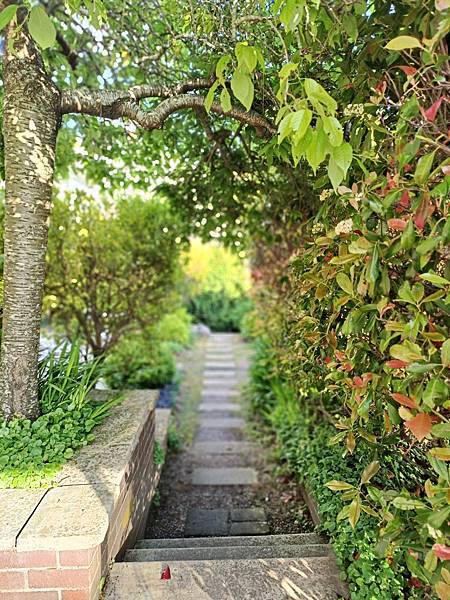 24OCT 十里藍山 蟬滿天 Blue Mountain 百 24OCT 十里藍山 蟬滿天 Blue Mountain 百