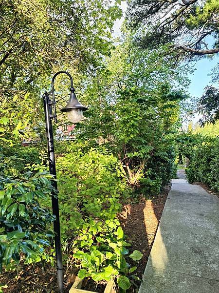 24OCT 十里藍山 蟬滿天 Blue Mountain 百 24OCT 十里藍山 蟬滿天 Blue Mountain 百