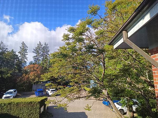 24OCT 十里藍山蟬滿天 百年飯店巡禮(Metropole 24OCT 十里藍山蟬滿天 百年飯店巡禮(Metropole