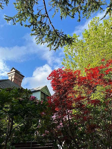 24OCT 十里藍山 蟬滿天 Blue Mountain 百 24OCT 十里藍山 蟬滿天 Blue Mountain 百