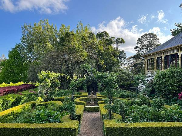 24OCT 十里藍山 蟬滿天 Blue Mountain 百 24OCT 十里藍山 蟬滿天 Blue Mountain 百