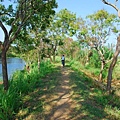 Vil Uyana(Sigiriya)11.JPG