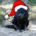 2010 Christmas Card(TASMANIA).png