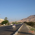 07 0604 egypt 317.jpg