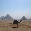 07 0604 egypt 726.jpg