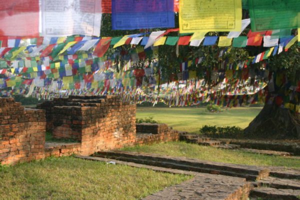 朝火8(LUMBINI).jpg