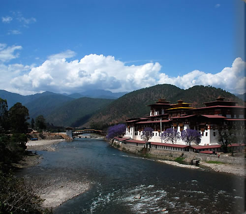 PUNAKHA BRIGE2.jpg