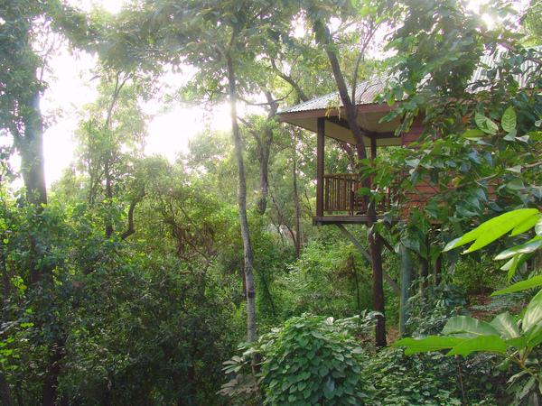 Jungle walk bungalow Thala Beach Lodge.jpg