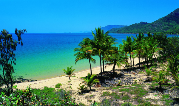 Thala's coconut fringed beach.jpg