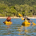 thala beach kayaking.jpg