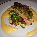 SYD PARTY(SALMON).jpg