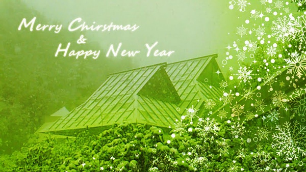 2010 Christmas Card (日本miho).jpg