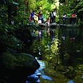 Group enjoys tranquillity of Rainbow Pool.jpg