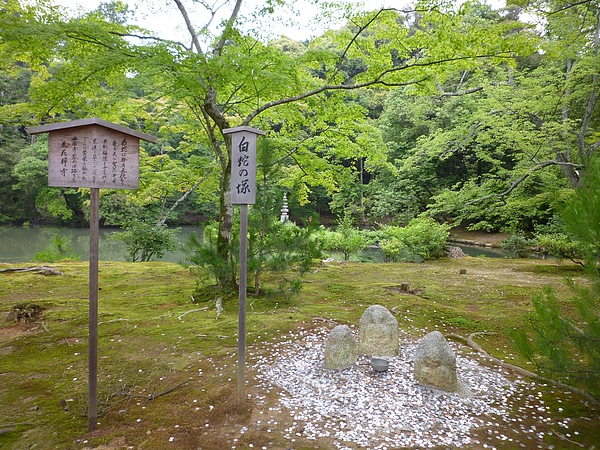 金澤寺23.JPG