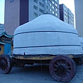 2010蒙古國22.JPG