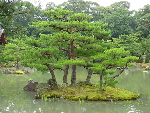 金澤寺17.JPG