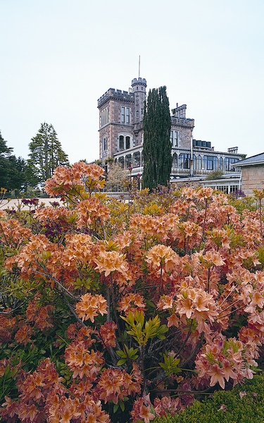 Larnach Castle2.JPG