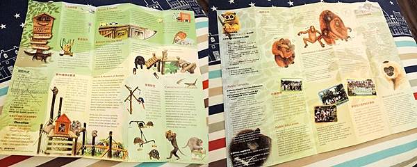 [玩樂]冷熱交替偽大學生活屏東小旅團～屏科大、泗林、青創聚落。