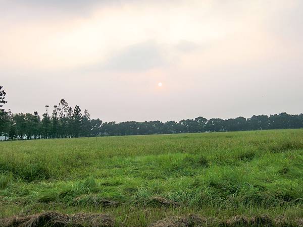 [玩樂]冷熱交替偽大學生活屏東小旅團～屏科大、泗林、青創聚落。