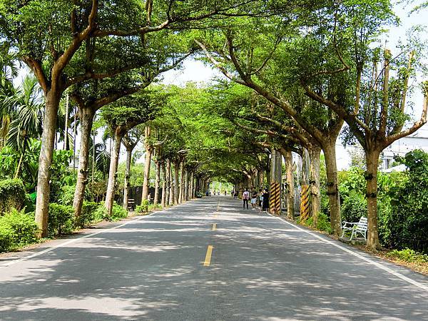 [玩樂]冷熱交替偽大學生活屏東小旅團～屏科大、泗林、青創聚落。