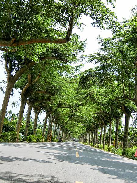 [玩樂]冷熱交替偽大學生活屏東小旅團～屏科大、泗林、青創聚落。