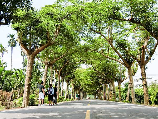 [玩樂]冷熱交替偽大學生活屏東小旅團～屏科大、泗林、青創聚落。
