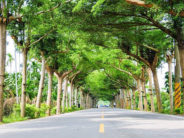 [玩樂]冷熱交替偽大學生活屏東小旅團～屏科大、泗林、青創聚落。