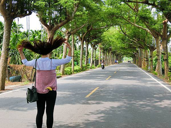 [玩樂]冷熱交替偽大學生活屏東小旅團～屏科大、泗林、青創聚落。