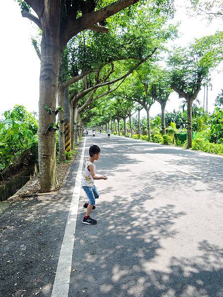 [玩樂]冷熱交替偽大學生活屏東小旅團～屏科大、泗林、青創聚落。