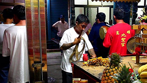 法鼓_向聖母祝壽2