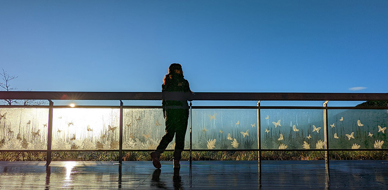 說走就走｜太平山單車輕旅 /肖楠館背包客房 訂房攻略 ! 見