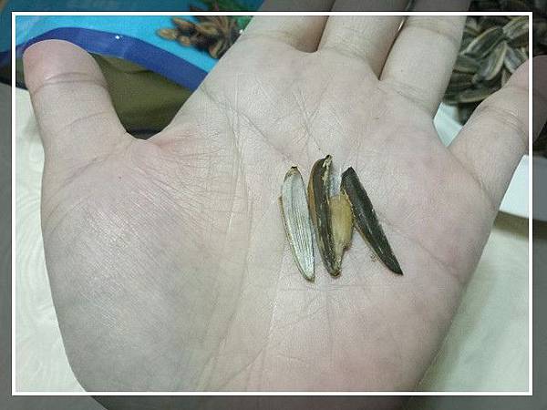 PhotoCap_022.jpg 試用