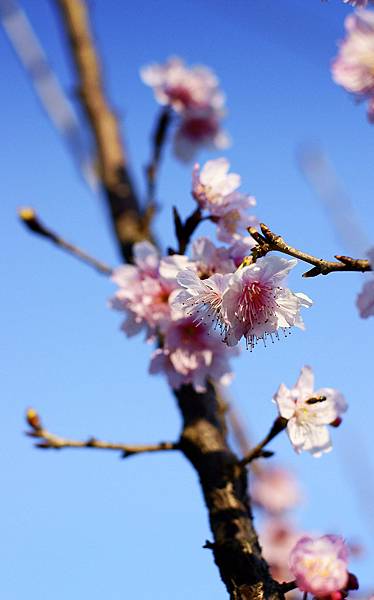 林口公園