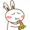 18.gif