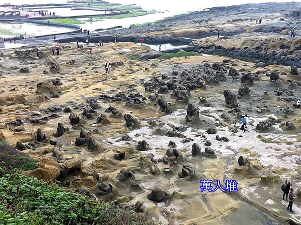 柏瑜拍的照片 125.jpg