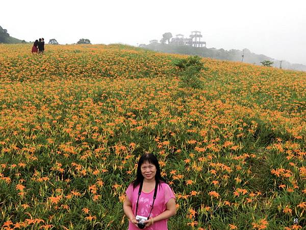 趴趴走愛拍照~美麗的花東自由行<105>